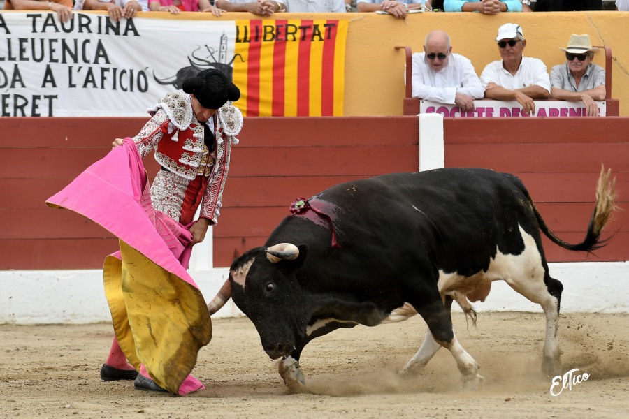 Ceret, domingo 14 de julio de 2019. Matinal