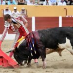 Ceret, domingo 14 de julio de 2019. Matinal