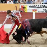 Ceret, domingo 14 de julio de 2019. Matinal
