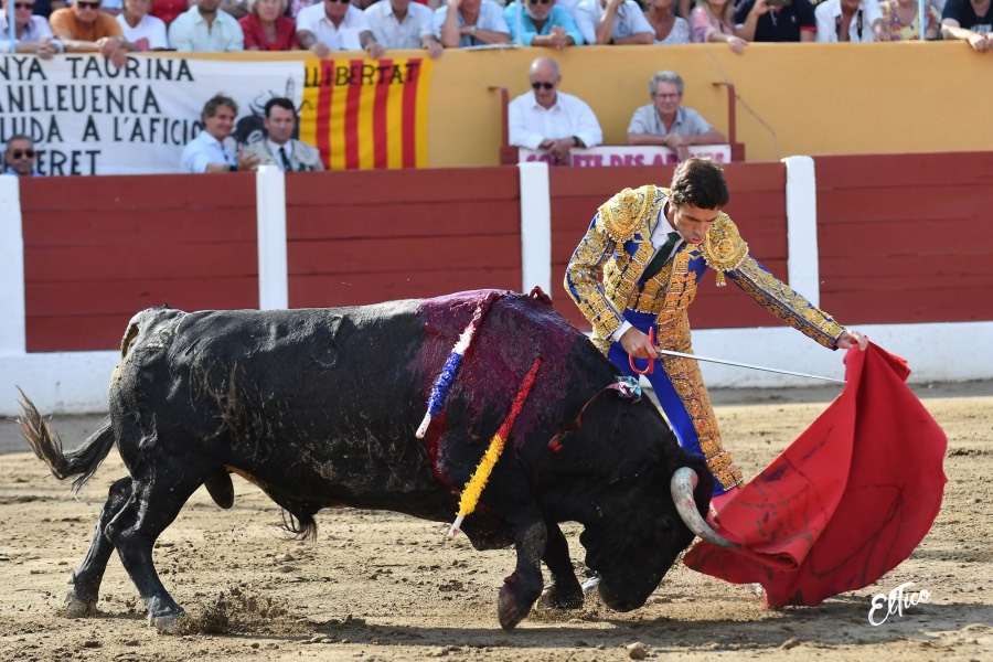 Ceret, domingo 14 de julio de 2019