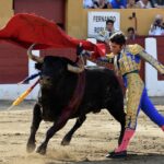 Ceret, domingo 14 de julio de 2019