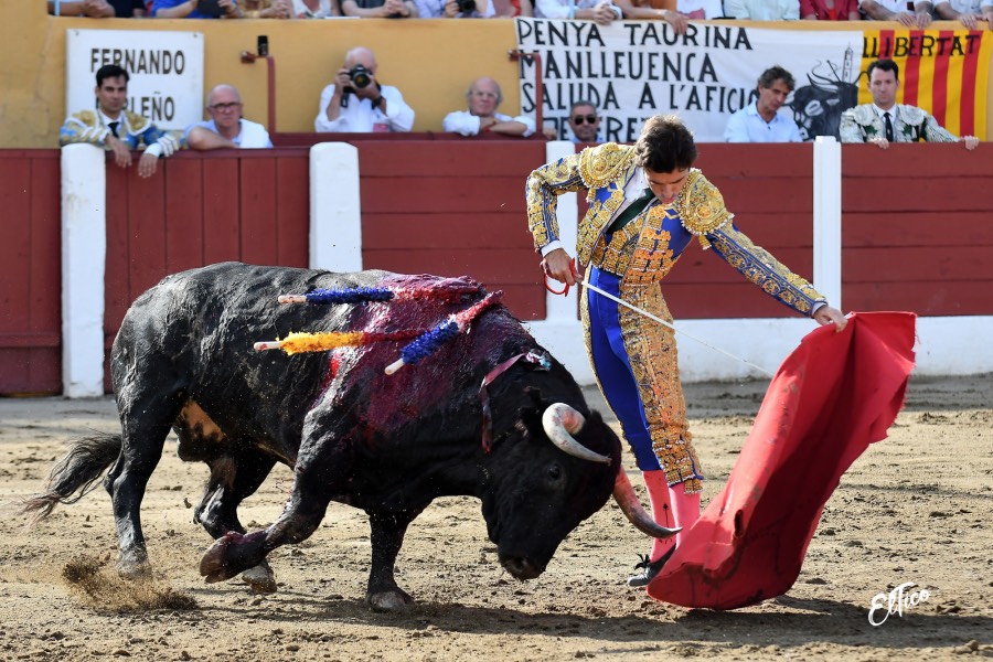 Ceret, domingo 14 de julio de 2019