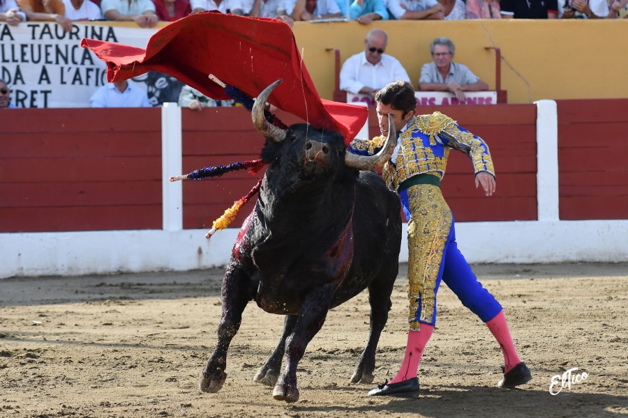 Ceret, domingo 14 de julio de 2019