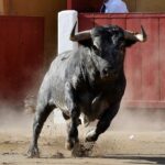 Ceret, domingo 14 de julio de 2019