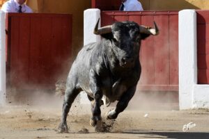 Ceret, domingo 14 de julio de 2019