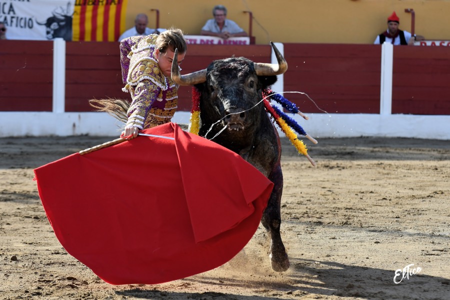 Ceret, domingo 14 de julio de 2019