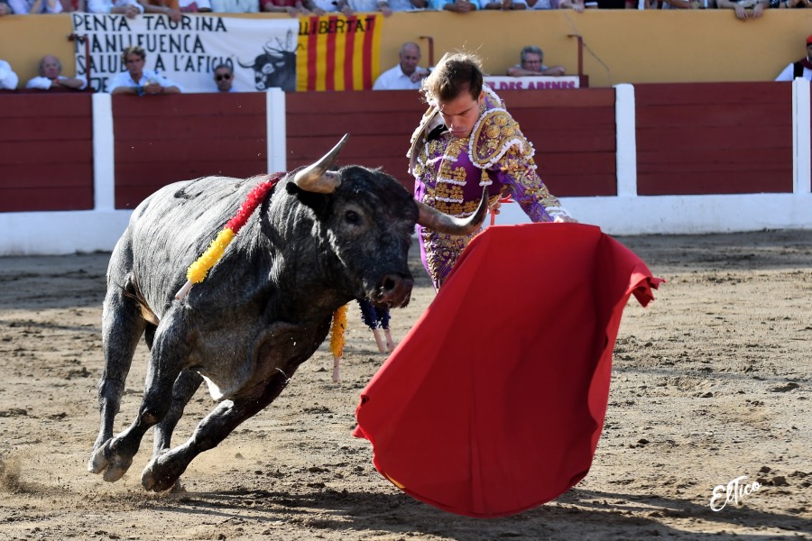 Ceret, domingo 14 de julio de 2019
