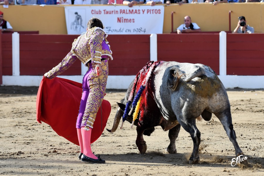 Ceret, domingo 14 de julio de 2019