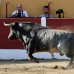 Ceret, domingo 14 de julio de 2019