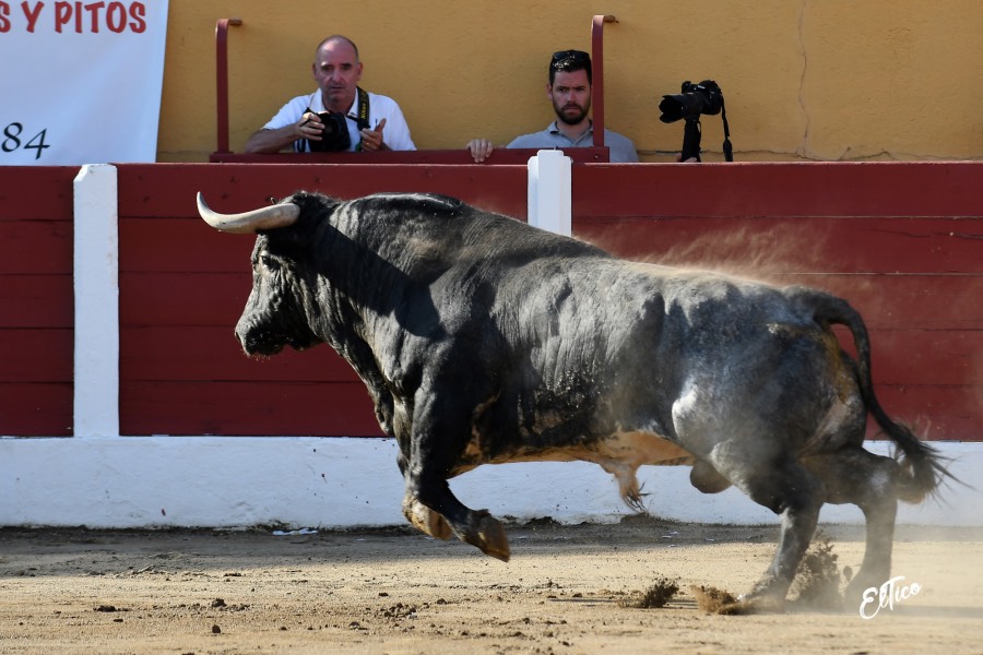 Ceret, domingo 14 de julio de 2019