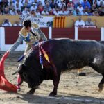 Ceret, domingo 14 de julio de 2019