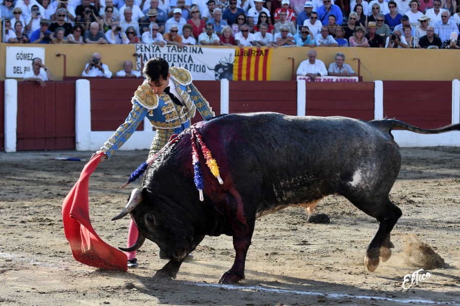 Ceret, domingo 14 de julio de 2019