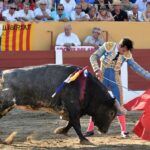 Ceret, domingo 14 de julio de 2019