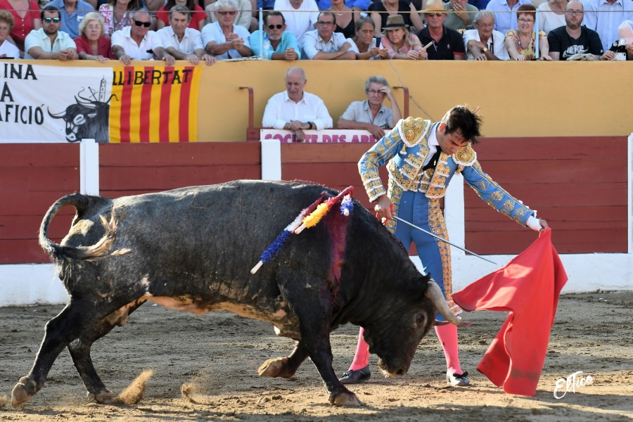 Ceret, domingo 14 de julio de 2019