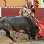 Ceret, domingo 14 de julio de 2019