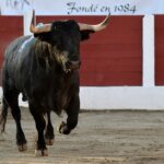Ceret, domingo 14 de julio de 2019