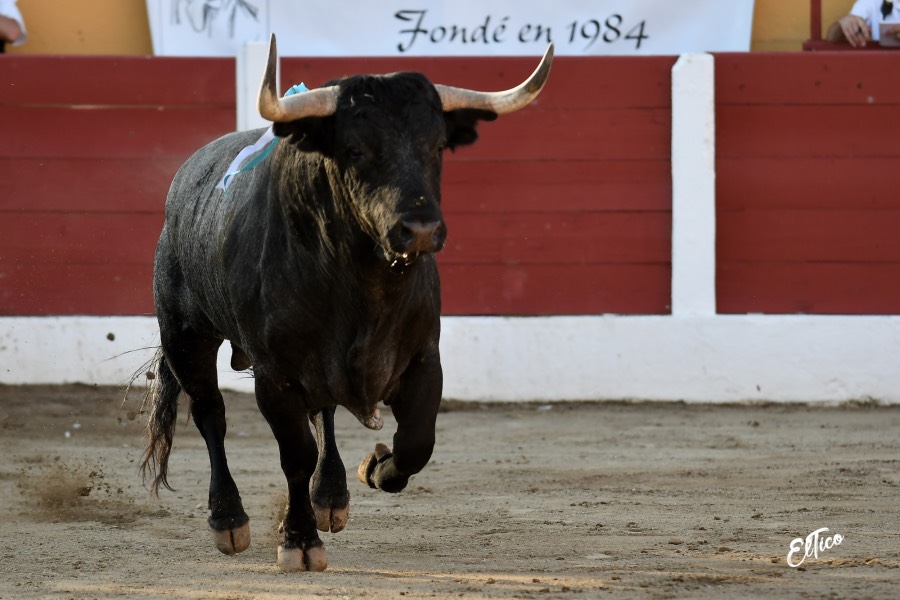 Ceret, domingo 14 de julio de 2019