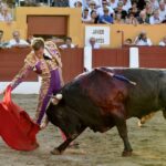 Ceret, domingo 14 de julio de 2019