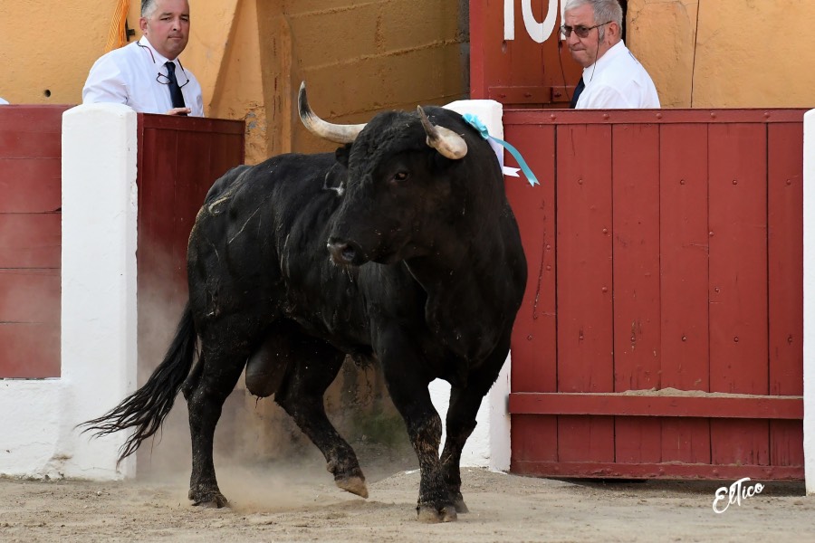 Ceret, domingo 14 de julio de 2019