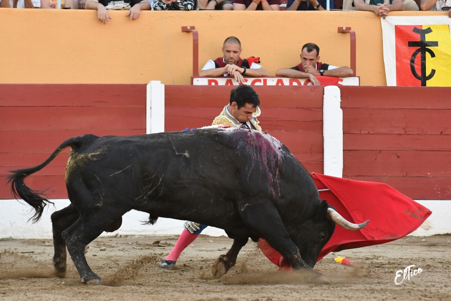 Ceret, domingo 14 de julio de 2019