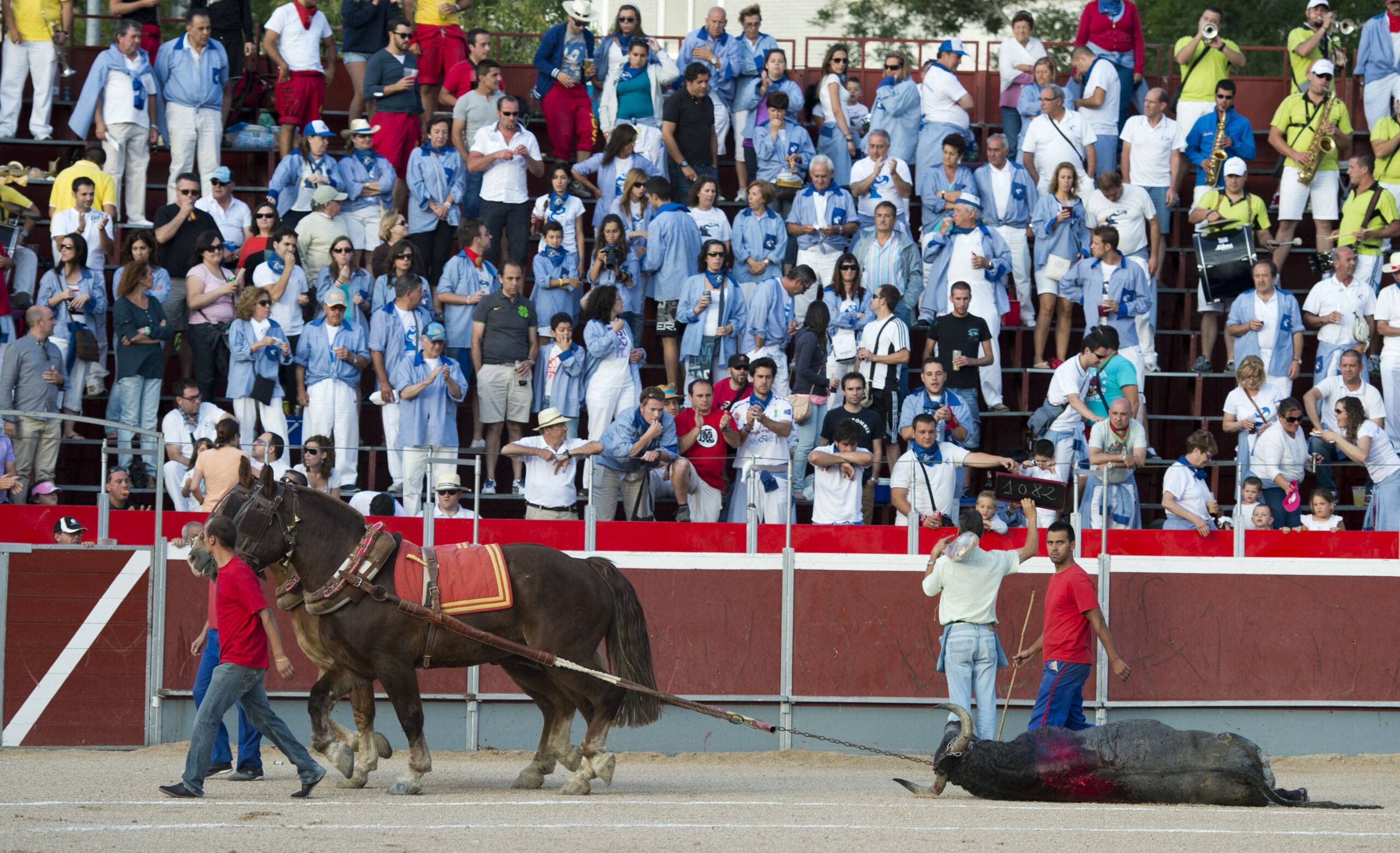 Collado Villalba apuesta por la cantera en su Feria de Santiago