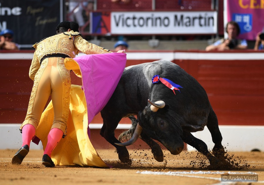 Mont de Marsan, domingop 21 de julio de 2019