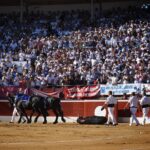 Mont de Marsan, viernes 19 de julio de 2019