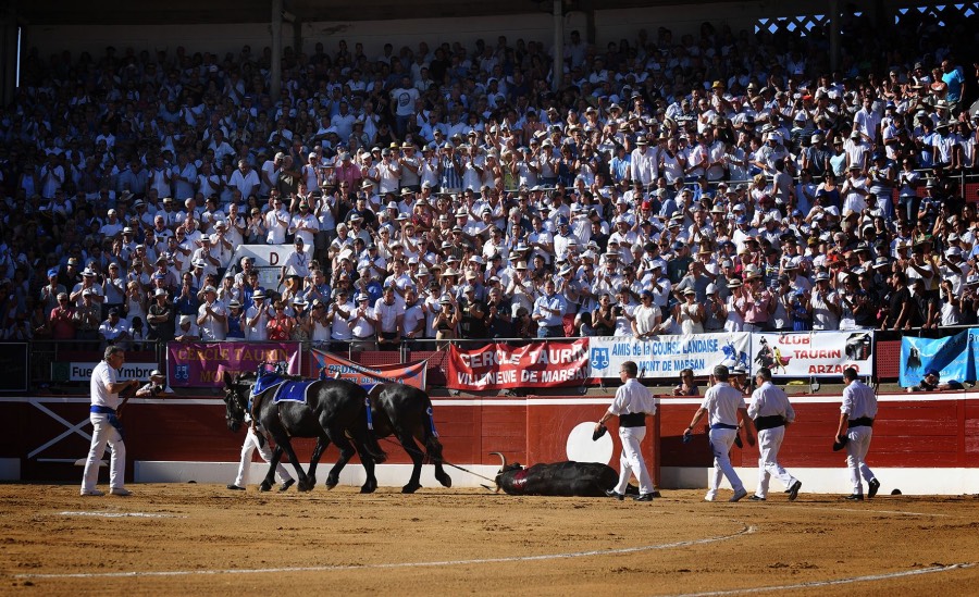 Mont de Marsan, viernes 19 de julio de 2019
