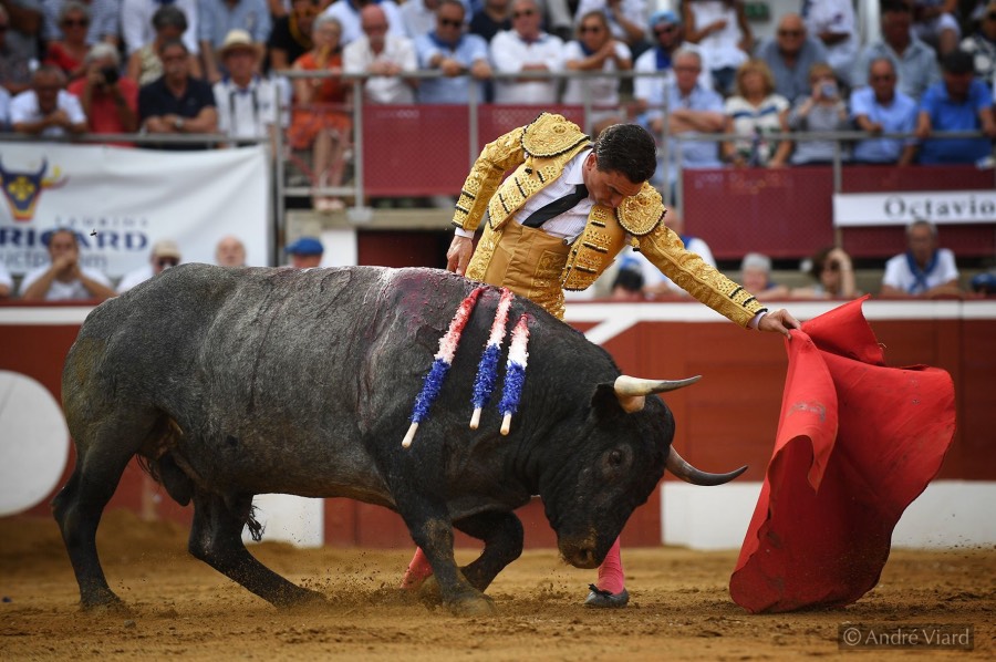Mont de Marsan, domingop 21 de julio de 2019