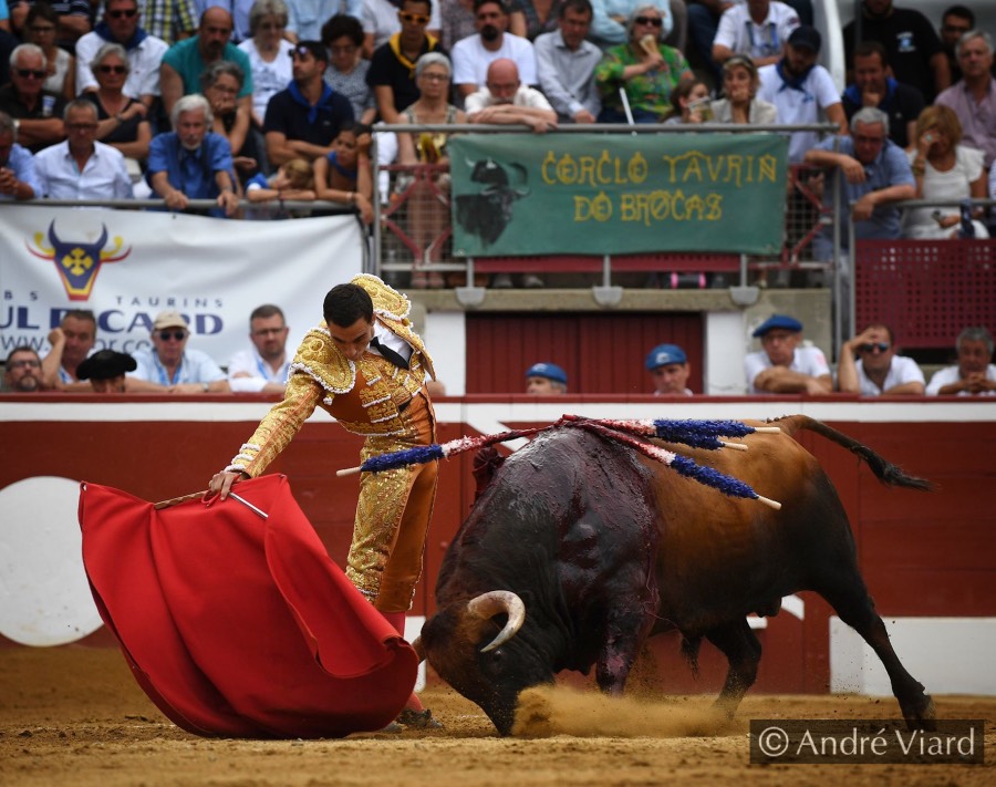 Mont de Marsan, sábado 20 de julio de 2019