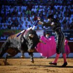 Mont de Marsan, viernes 19 de julio de 2019