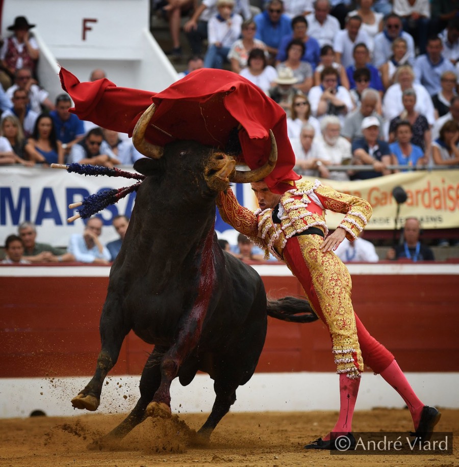 Mont de Marsan, sábado 20 de julio de 2019