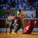 Mont de Marsan, viernes 19 de julio de 2019