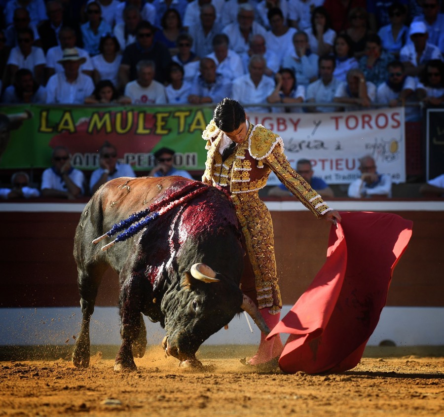 Mont de Marsan, viernes 19 de julio de 2019