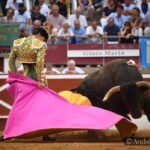 Mont de Marsan, sábado 20 de julio de 2019