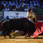 Mont de Marsan, viernes 19 de julio de 2019