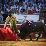 Mont de Marsan. Miércoles, 17 de julio de 2019.
