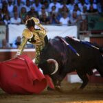 Mont de Marsan, viernes 19 de julio de 2019