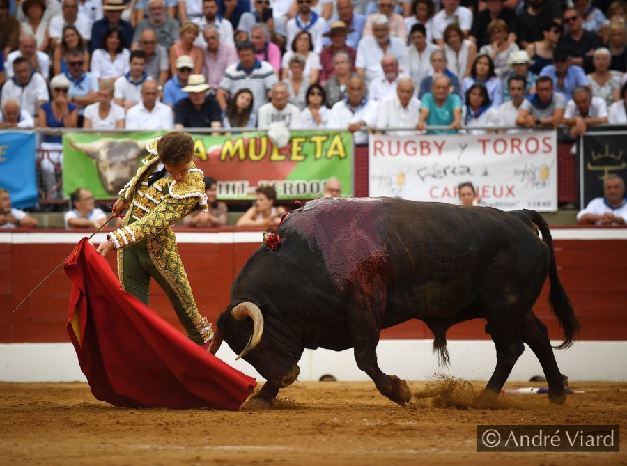 Mont de Marsan, sábado 20 de julio de 2019