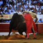 Mont de Marsan, viernes 19 de julio de 2019