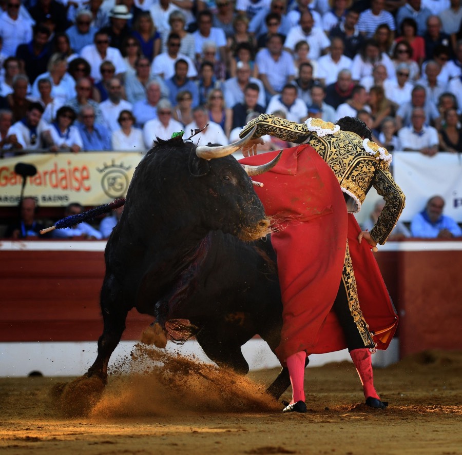 Mont de Marsan, viernes 19 de julio de 2019