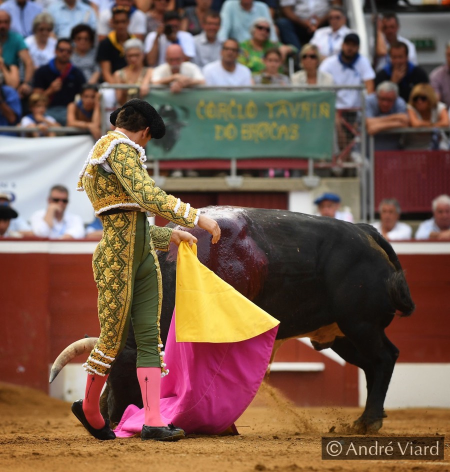 Mont de Marsan, sábado 20 de julio de 2019
