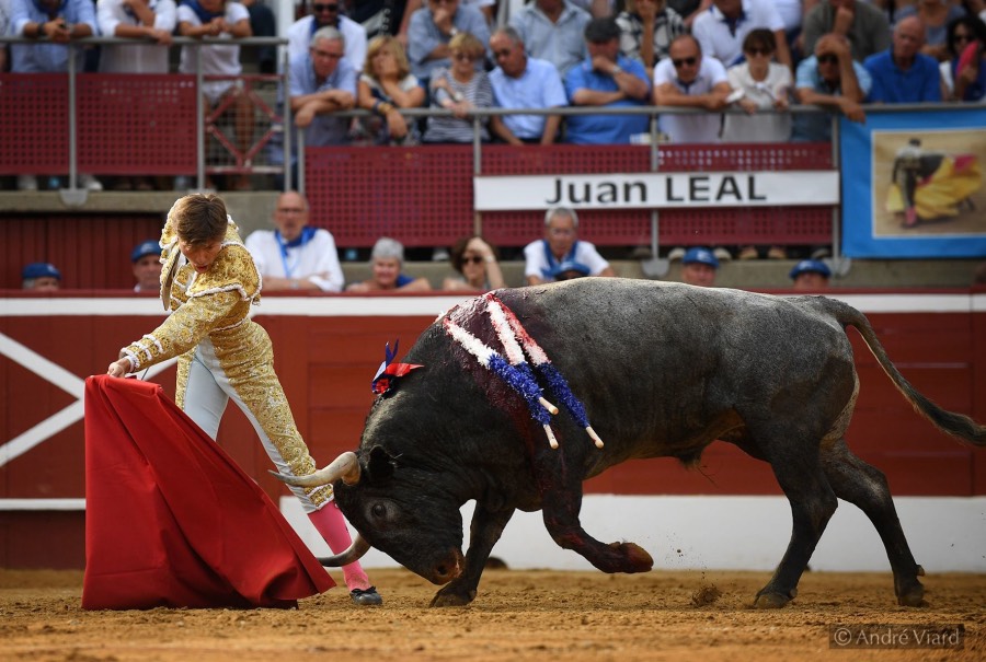 Mont de Marsan, domingop 21 de julio de 2019