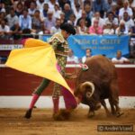 Mont de Marsan, sábado 20 de julio de 2019