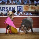 Mont de Marsan. Miércoles, 17 de julio de 2019.