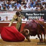 Mont de Marsan, sábado 20 de julio de 2019