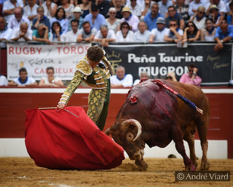 Mont de Marsan, sábado 20 de julio de 2019