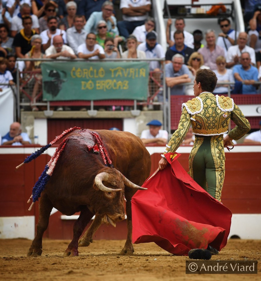 Mont de Marsan, sábado 20 de julio de 2019