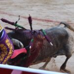 Cogida de Rafaelillo en Pamplona