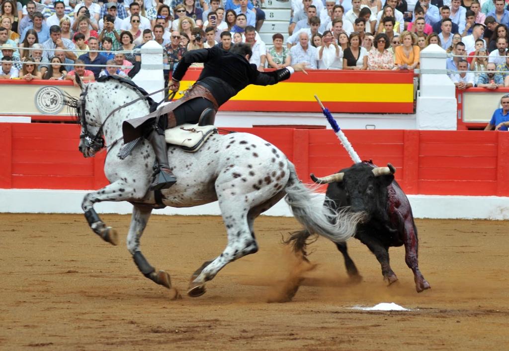 Santander, domingo 21 de julio de 2019